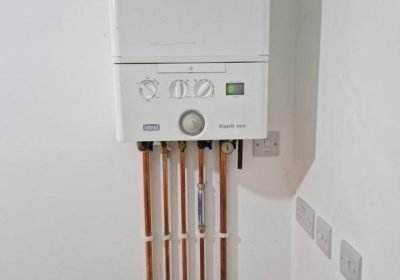 WhatsApp Image 2026-01-16 at 9.46.32 PM (1)